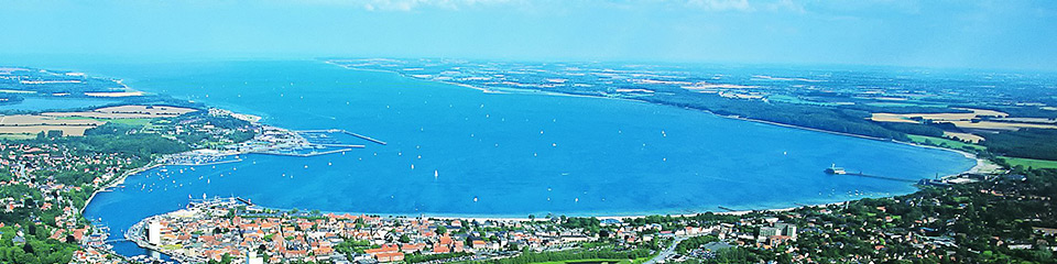 Kinder und Ponys baden im Wittensee