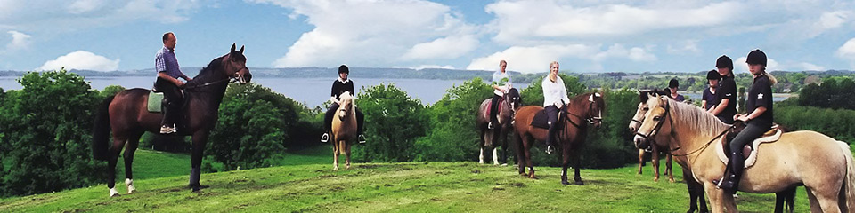 Kinder und Ponys baden im Wittensee